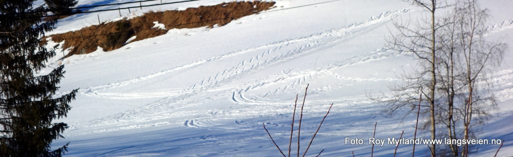 Skispor langs Øverbygdvegen i Skrautvål i Valdres. Foto Roy Myrland