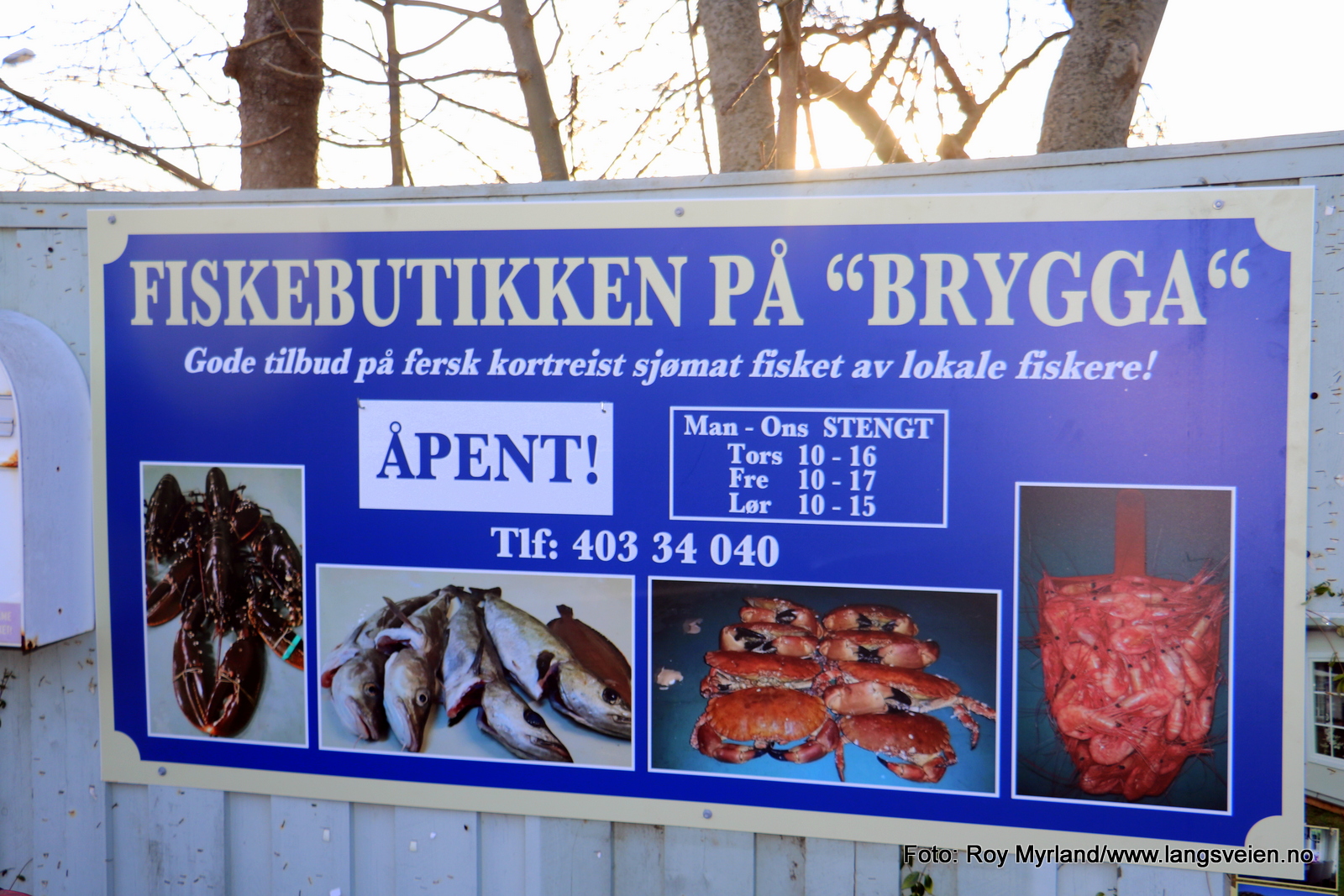 Nevlunghavn fisk fiskebrygge fiskebutiik fisk og skalldyr foto roy myrland