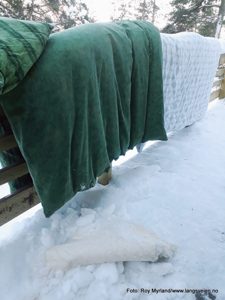 Husstøvmidden sengetøy fryserensing bli kvitt foto roy myrland