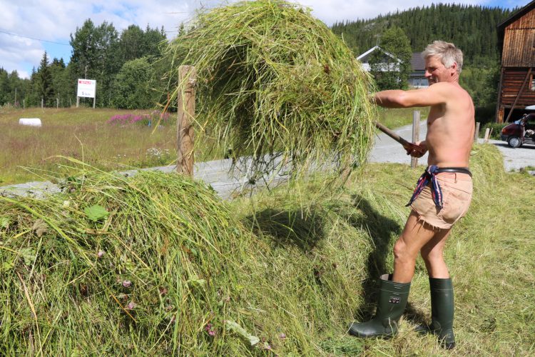 Ting faller på plass i høyonna i Valdres.