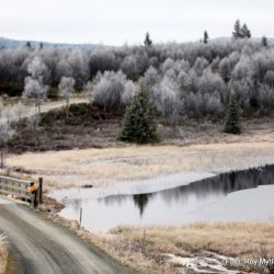 Skrautvål sameie Svarthamar Nord Aurdal foto roy myrland