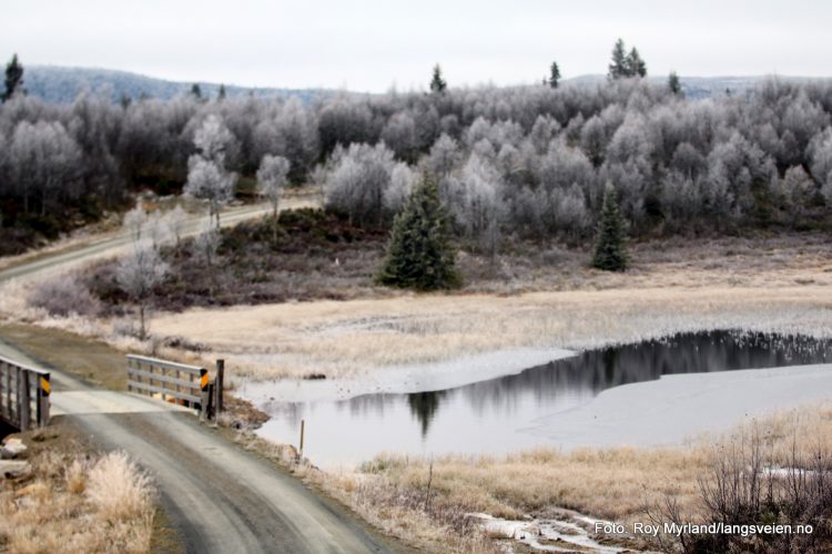 Skrautvål sameie Svarthamar Nord Aurdal foto roy myrland