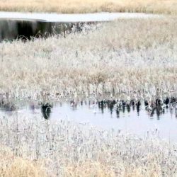 Fjellvann rim hhøst foto roy myrland