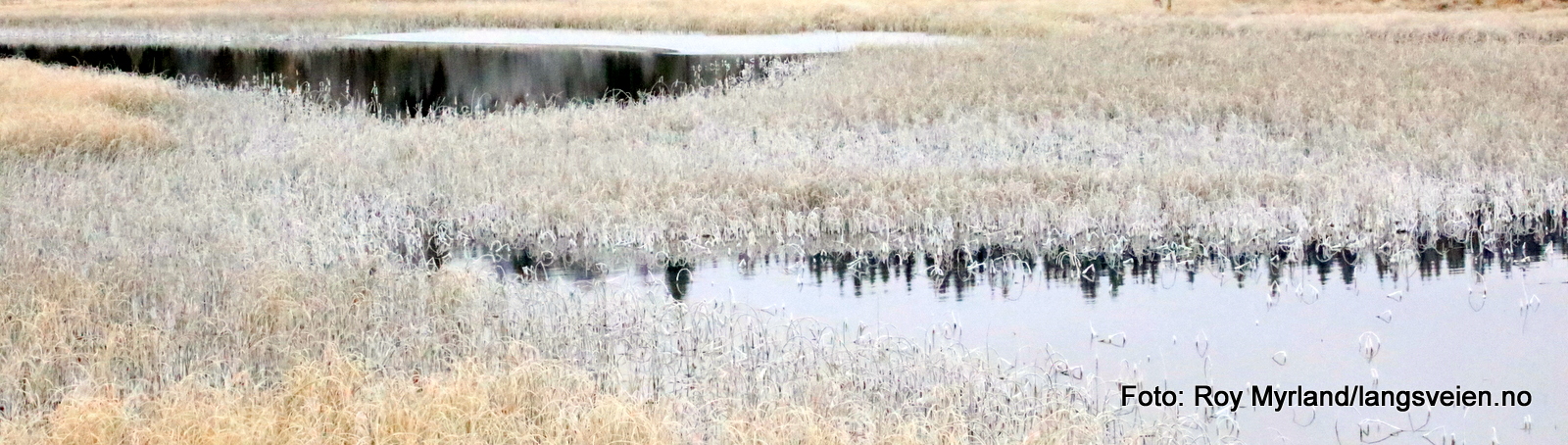 Fjellvann rim hhøst foto roy myrland
