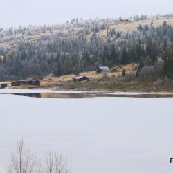 Brennastølen ved Fullmjøen i Skrautvål sameige. Susstølen på åse bak. Foto Roy Myrland