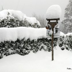 Våknet opp til julestemning på Konnerud Foto Jan Arne Dammen