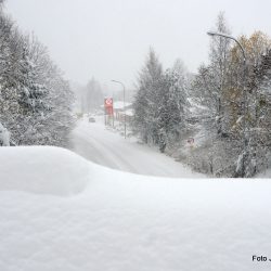 Mange hadde fulgt oppfordringen om å la bilen stå. Foto Jan Arne Dammen