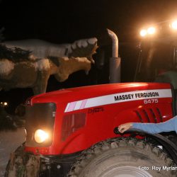 Terje Bakko MAssey Ferguson 6475 terje bakko entreprenør elgehode