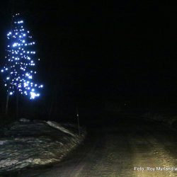 Juletrepynten Valdres Julepynt Foto Roy Myrland