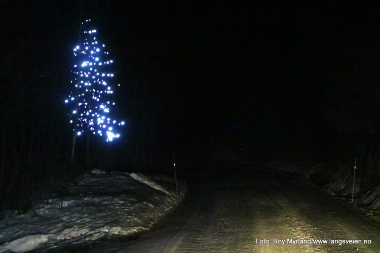 Juletrepynten Valdres Julepynt Foto Roy Myrland