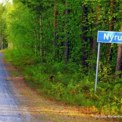 Nyrud grensepost Russlang Finland Finnmarksløpet Vaggatem Øvre Pasvik camping bjørnehi foto roy myrland