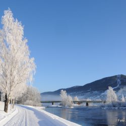 Dieselbileiere som bor steder der det er nødvendig å kjøre lengre distanser i hverdagen, til å beholde dieselbilen Foto Jan Arne Dammen.