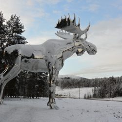 Storelgen på rv 3 i Østerdalen skal bidra til å holde oppmerksomheten oppe hos bilførerne. Foto Jan Arne Dammen