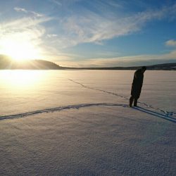 Sporingen av ulvene skjer fra bakken av feltpersonell til fots og på snøscooter. Foto Miljøverndirektoratet