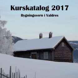 Bygningsvern i Valdres Kurskatalog Odd Arne Rudi – Kursrekke og synfaringar, museumssatsing med store ringverknadar Årets kurskatalog finn du her. Bygningsvernarbeidet har vore satsingsområde ved Valdresmusea sidan 2009.Formålet er å bidra til auka bevisstgjering og bevaring av bygningsarven i Valdres.