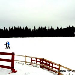 Valdres skisenter skrautvål stdion skistadion