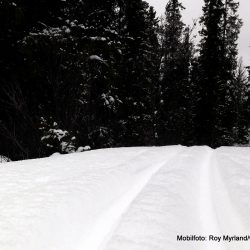 skiløyper valdres skisenter heimåsen skrautvål