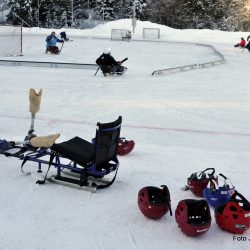 «I kjælka stiller alle likt» Foto Jan Arne Dammen