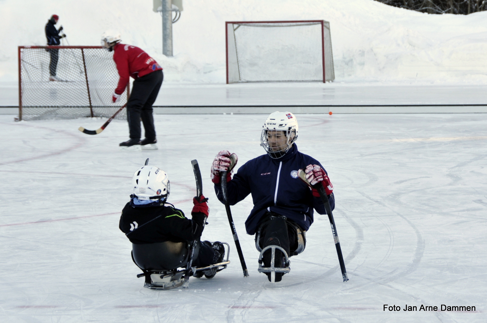 Shake hands og gode råd fra kjelkehockeylandslagets kaptein, Loyd Remi P. Solberg Foto Jan Arne Dammen