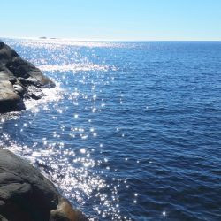 Vårsola i Hummerbakkfjorden i LArvik. Foto Asta Kristine Waale