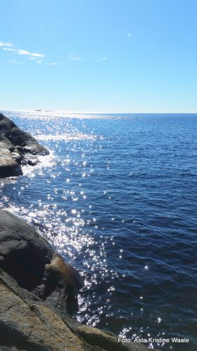 Vårsola i Hummerbakkfjorden i LArvik. Foto Asta Kristine Waale