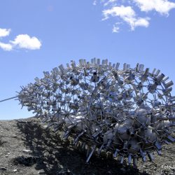 Mental genbank hengende utover en skråning mellom jernbanen og europaveien ved Hjerkinn Foto Jan Arne Dammen