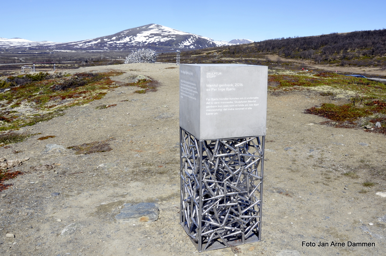 Per Inge Bjørlos skulptur «Mental genbank» Foto Jan Arne Dammen