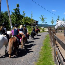 En gruppe fornøyde barn er på tur rundt Drammen Ridesenter. Foto Jan Arne Dammen