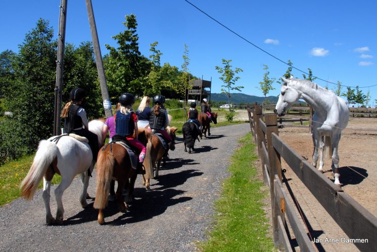 En gruppe fornøyde barn er på tur rundt Drammen Ridesenter. Foto Jan Arne Dammen