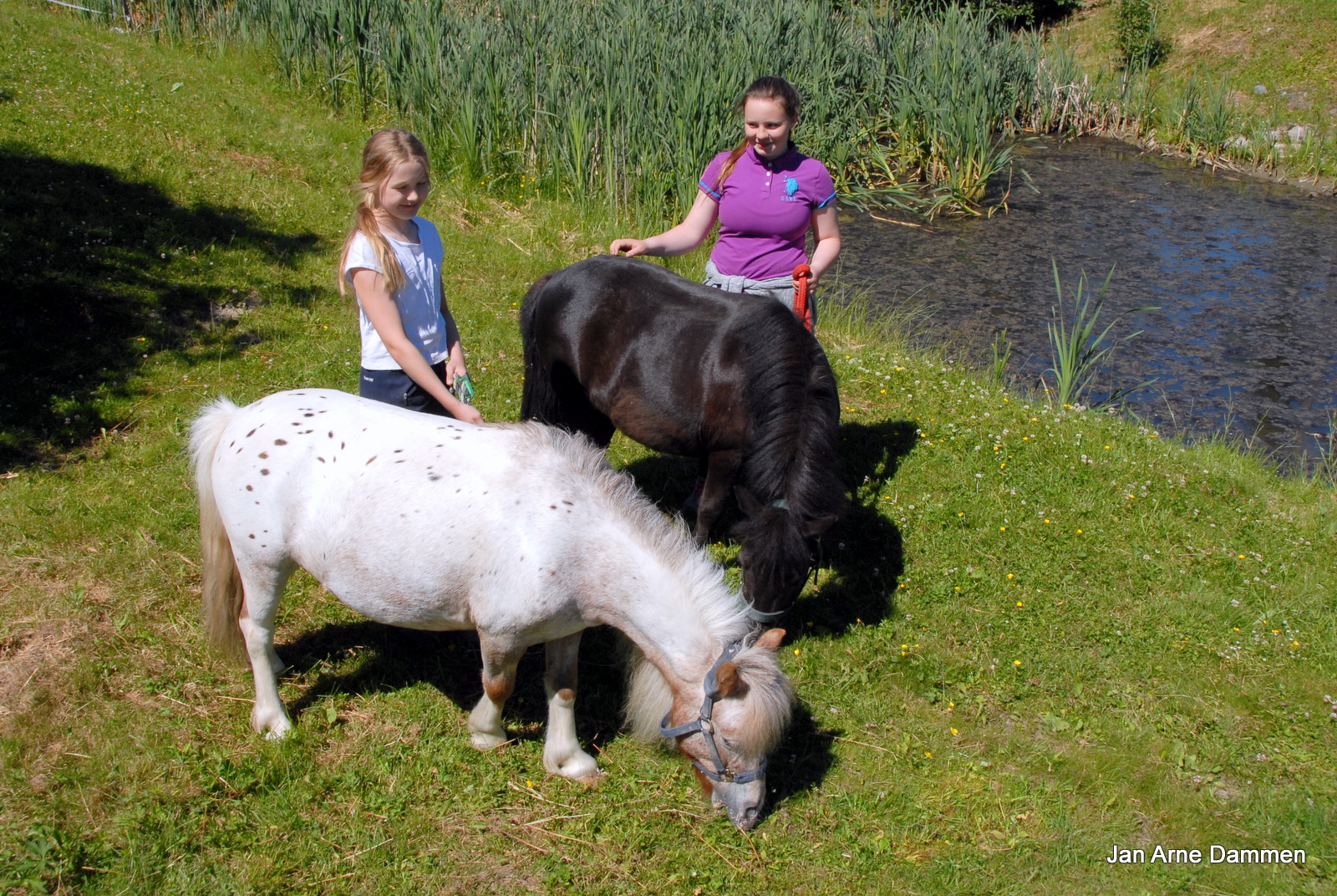 Pepsi og Rapunsel koser seg sammen med Øydis og Martine ved Drammen Ridesenter Foto Jan Arne Dammen.