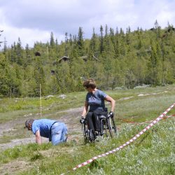 Vel oppe var takk for følget. Er multene modne?