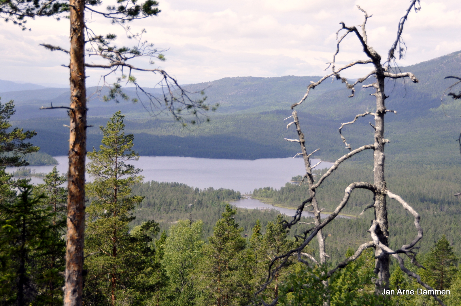 Utsikt mot Buvatnet i Flå i elgen og storfuglens rike Foto Jan Arne Dammen
