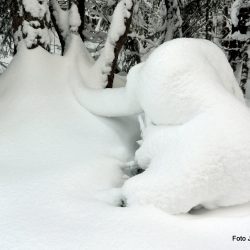 14.november - Det snør det snør