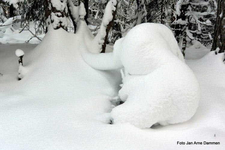 14.november - Det snør det snør