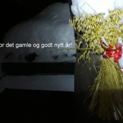 Takk for det gamle og godt nytt år!