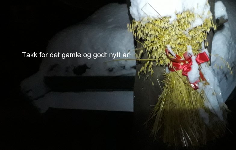 Takk for det gamle og godt nytt år!