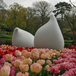 Tyvstart på våren - tulipanens dag