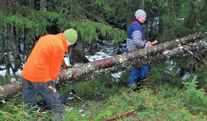 Fra skog til vegg 2018 - spennende kurs