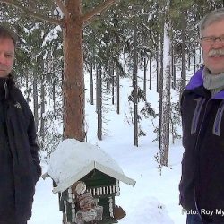 Småfuglene. -Titus Overdevest og Trond Øygarden i Skrautvål 8. februar 2018. Fot og videoproduksjon Roy Myrland/ www.langsveien.no