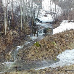 https://youtu.be/22GFCRONk2M KVernkall vannhjul Rogne Melbybråten øystre -slidre beitosølen skrautvål foto roy myrland