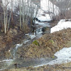 https://youtu.be/22GFCRONk2M KVernkall vannhjul Rogne Melbybråten øystre -slidre beitosølen skrautvål foto roy myrland