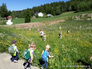 Blomsterenga i Valdres med Ranheimsbygda natur barnehage sommerenga. Foto roy myrland
