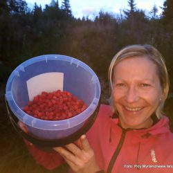 Inger Karin Løvlie tørken VAldres Bringebær smak av Valdres tørke foto roy myrland