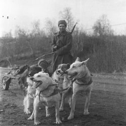 Pressebilde3-МОМ NVFF 3083-2. Bruk av en medisinsk tralle for å transportere de sårede. Området av Petsamo. 1944. Foto- K.I. Pogodin (1)