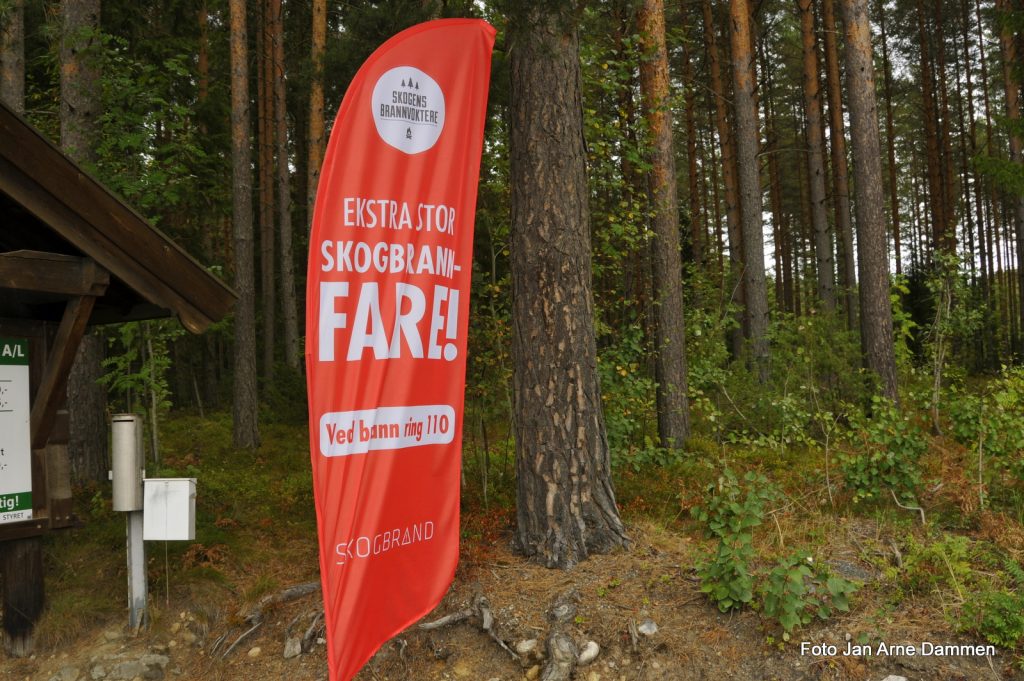 Selv om det har kommet en del nedbør de siste dagene, er det fremdeles stor skogbrannfare ifølge Øvre Romerike brann og redning (ØRB). En sigarettglo er nok til å starte en stor skogbrann. Foto Jan Arne Dammen