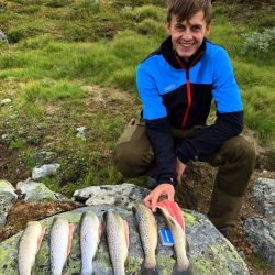 Stor fisk ørret valdres fisking i valdres thomas sergeev