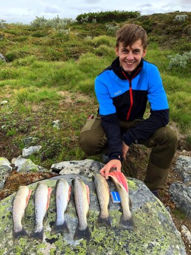 Stor fisk ørret valdres fisking i valdres thomas sergeev