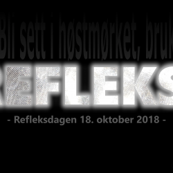 Bli sett i høstmørket, bruk refleks!