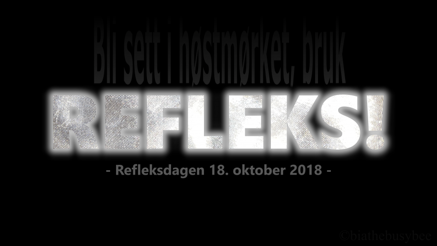 Bli sett i høstmørket, bruk refleks!