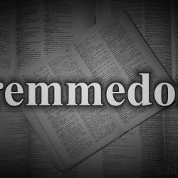 Fremmedord